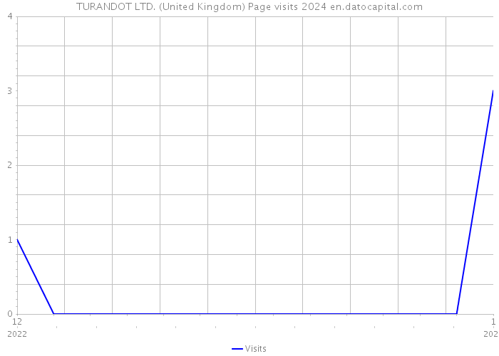 TURANDOT LTD. (United Kingdom) Page visits 2024 