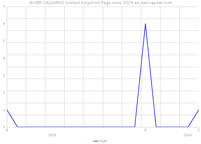 JAVIER GALLARDO (United Kingdom) Page visits 2024 