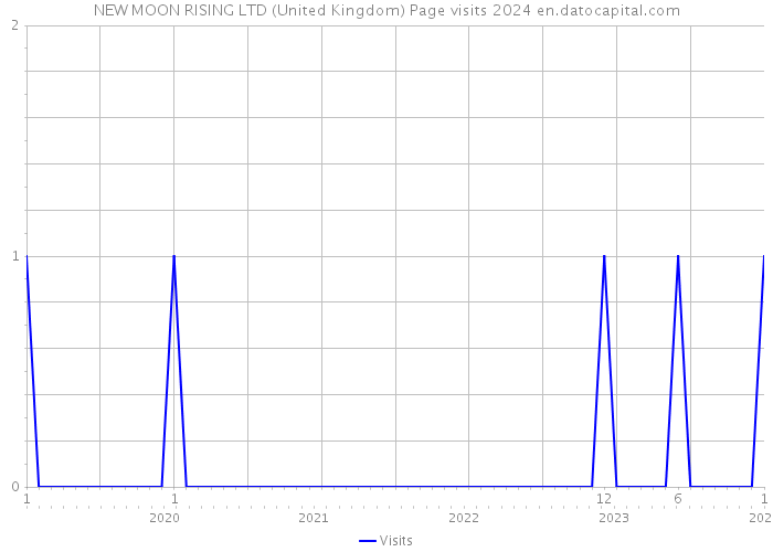 NEW MOON RISING LTD (United Kingdom) Page visits 2024 