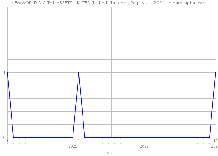 NEW WORLD DIGITAL ASSETS LIMITED (United Kingdom) Page visits 2024 