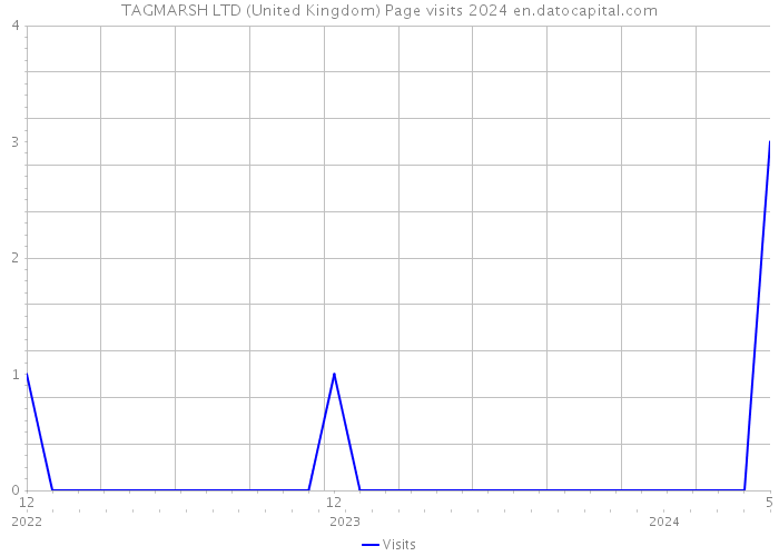 TAGMARSH LTD (United Kingdom) Page visits 2024 