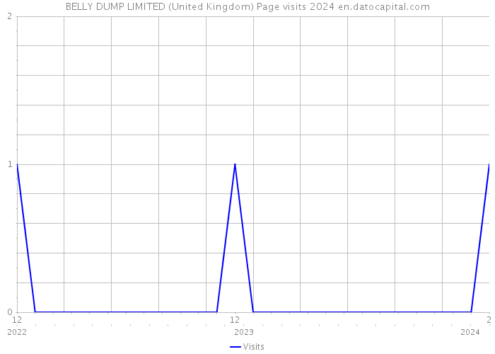 BELLY DUMP LIMITED (United Kingdom) Page visits 2024 