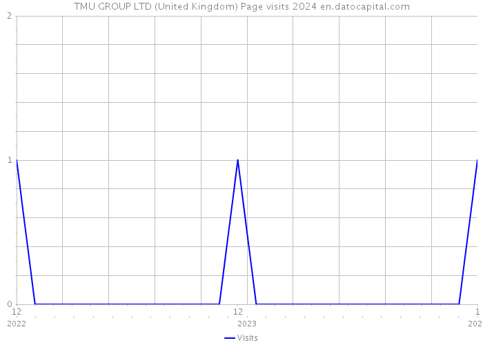 TMU GROUP LTD (United Kingdom) Page visits 2024 