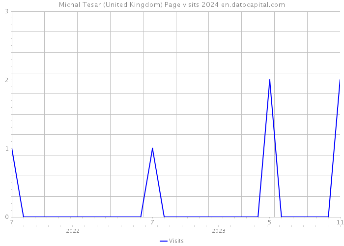 Michal Tesar (United Kingdom) Page visits 2024 