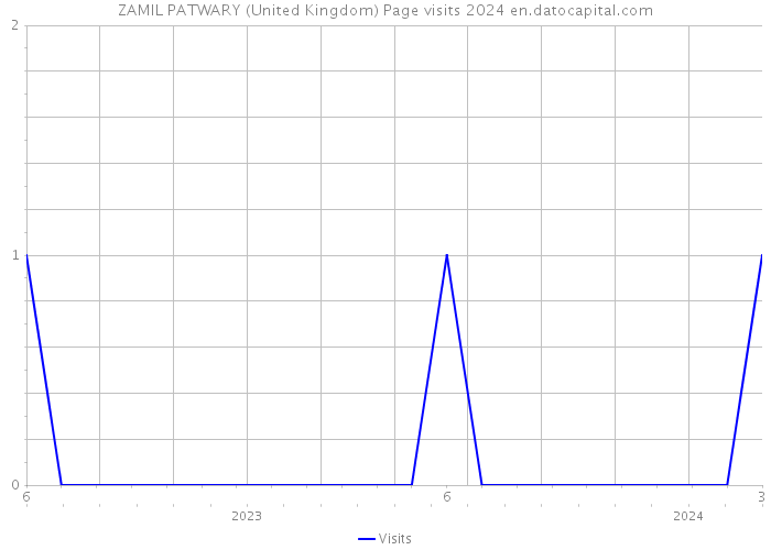 ZAMIL PATWARY (United Kingdom) Page visits 2024 