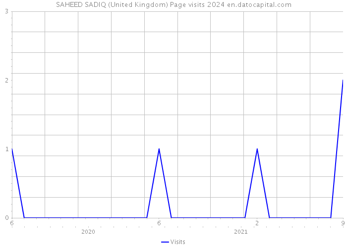 SAHEED SADIQ (United Kingdom) Page visits 2024 