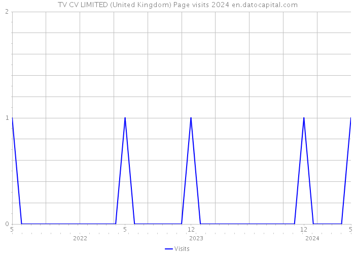 TV CV LIMITED (United Kingdom) Page visits 2024 