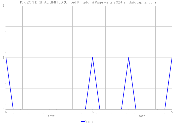 HORIZON DIGITAL LIMITED (United Kingdom) Page visits 2024 