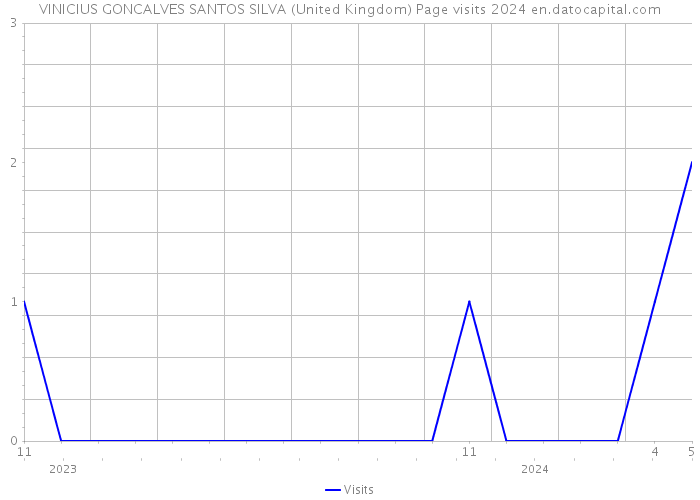 VINICIUS GONCALVES SANTOS SILVA (United Kingdom) Page visits 2024 