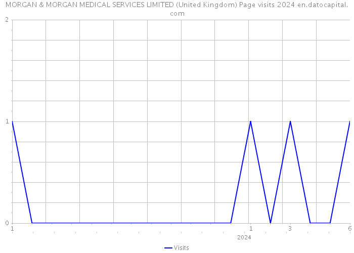 MORGAN & MORGAN MEDICAL SERVICES LIMITED (United Kingdom) Page visits 2024 