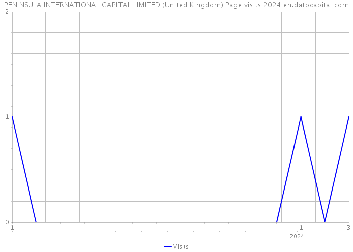 PENINSULA INTERNATIONAL CAPITAL LIMITED (United Kingdom) Page visits 2024 