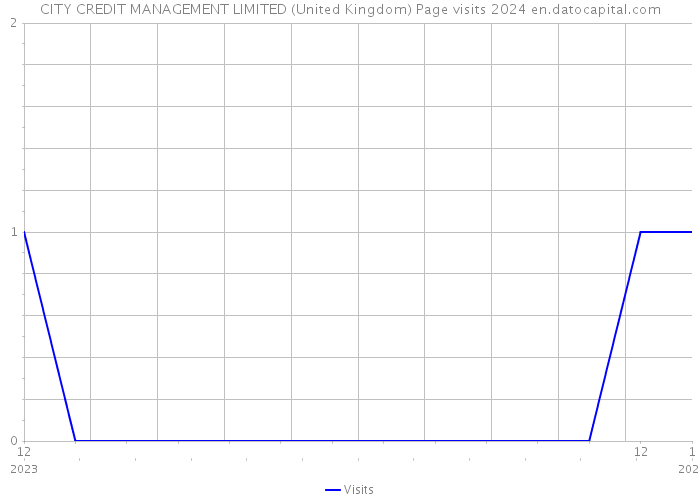 CITY CREDIT MANAGEMENT LIMITED (United Kingdom) Page visits 2024 