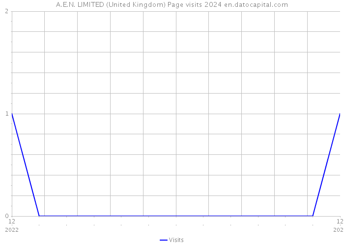 A.E.N. LIMITED (United Kingdom) Page visits 2024 