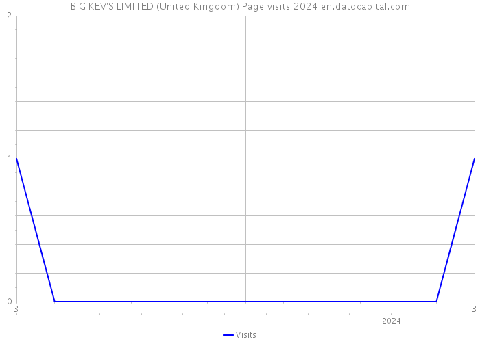 BIG KEV'S LIMITED (United Kingdom) Page visits 2024 