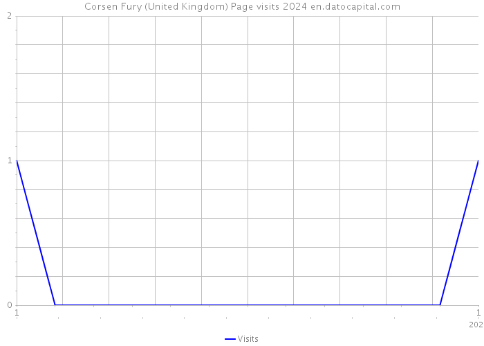 Corsen Fury (United Kingdom) Page visits 2024 