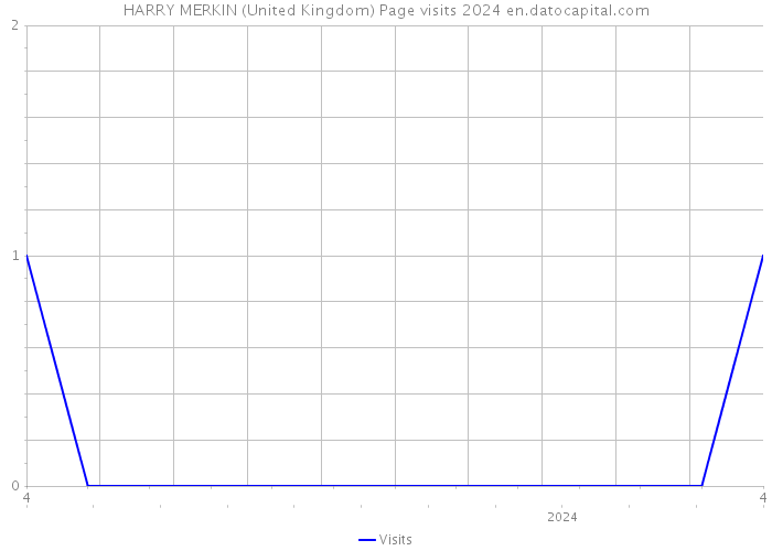 HARRY MERKIN (United Kingdom) Page visits 2024 