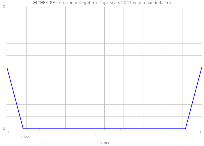 HICHEM BELLA (United Kingdom) Page visits 2024 