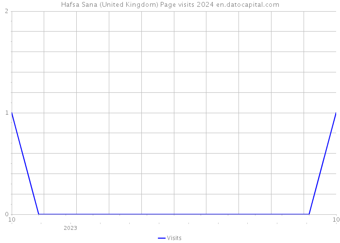 Hafsa Sana (United Kingdom) Page visits 2024 