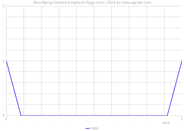 Nicu Batog (United Kingdom) Page visits 2024 