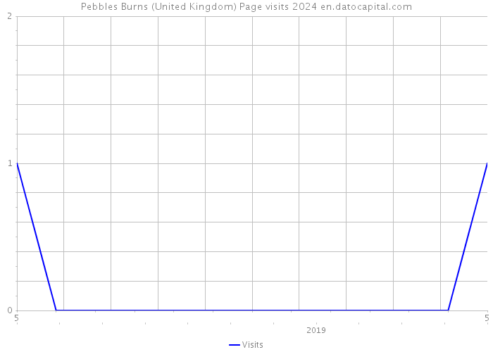 Pebbles Burns (United Kingdom) Page visits 2024 