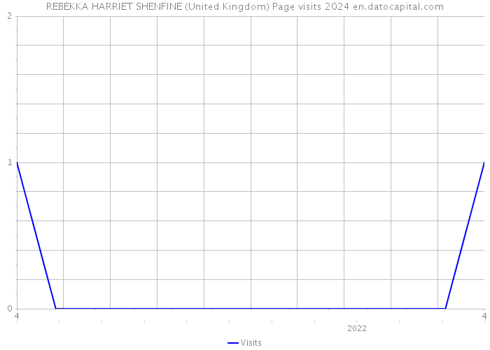 REBEKKA HARRIET SHENFINE (United Kingdom) Page visits 2024 