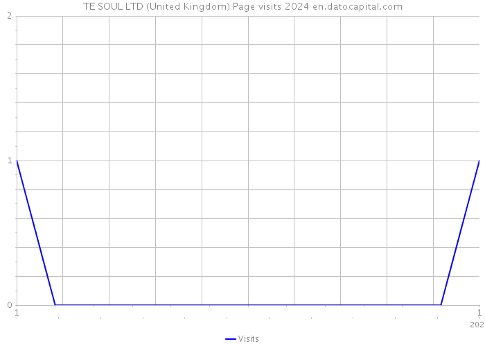 TE SOUL LTD (United Kingdom) Page visits 2024 