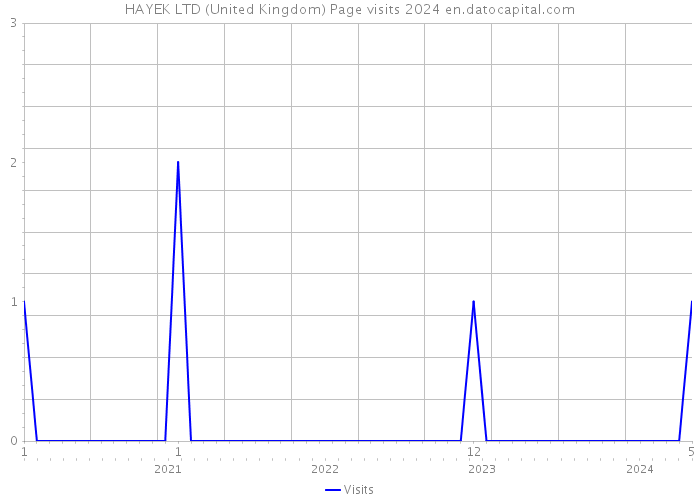 HAYEK LTD (United Kingdom) Page visits 2024 