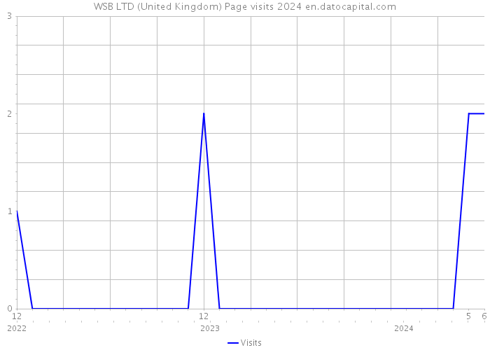 WSB LTD (United Kingdom) Page visits 2024 