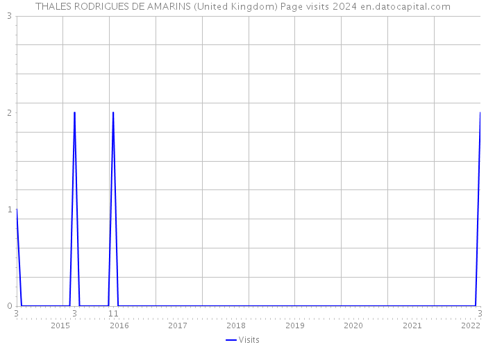 THALES RODRIGUES DE AMARINS (United Kingdom) Page visits 2024 