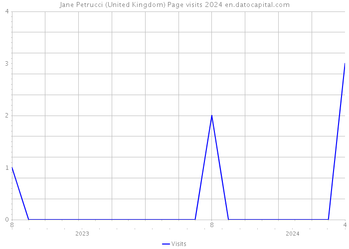 Jane Petrucci (United Kingdom) Page visits 2024 