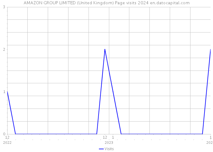 AMAZON GROUP LIMITED (United Kingdom) Page visits 2024 