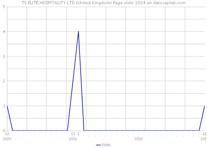 TS ELITE HOSPITALITY LTD (United Kingdom) Page visits 2024 
