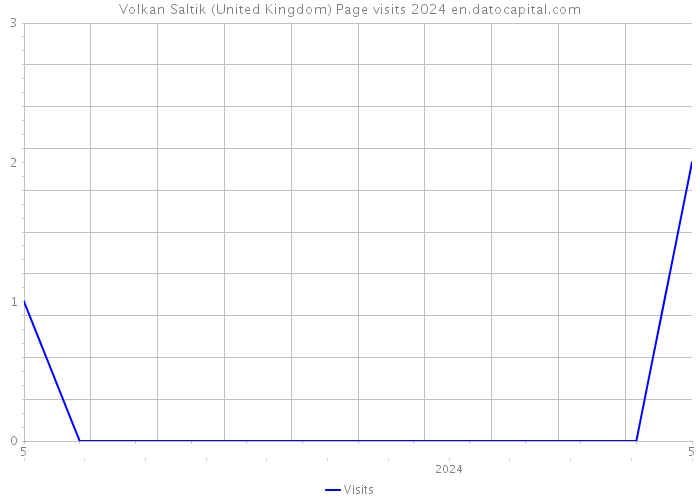 Volkan Saltik (United Kingdom) Page visits 2024 
