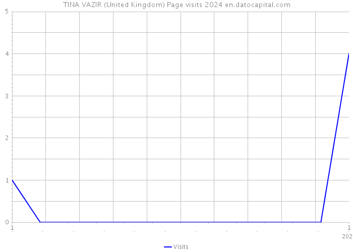 TINA VAZIR (United Kingdom) Page visits 2024 