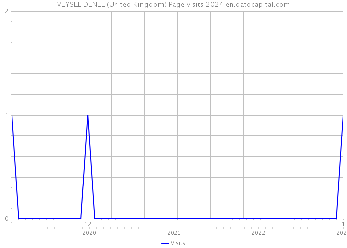 VEYSEL DENEL (United Kingdom) Page visits 2024 