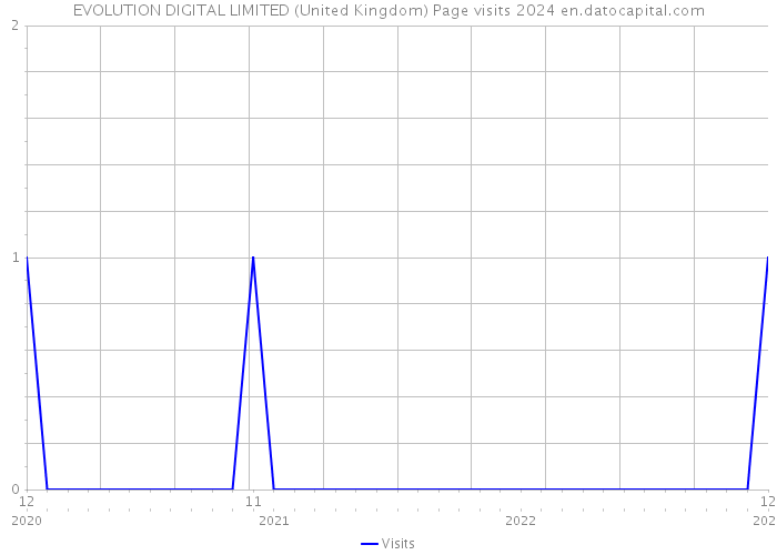 EVOLUTION DIGITAL LIMITED (United Kingdom) Page visits 2024 