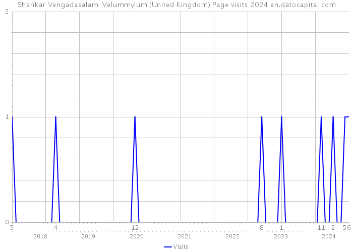 Shankar Vengadasalam Velummylum (United Kingdom) Page visits 2024 