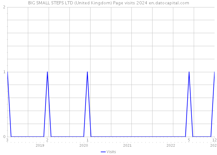 BIG SMALL STEPS LTD (United Kingdom) Page visits 2024 