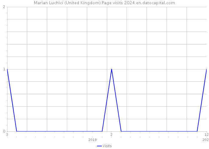 Marian Luchici (United Kingdom) Page visits 2024 