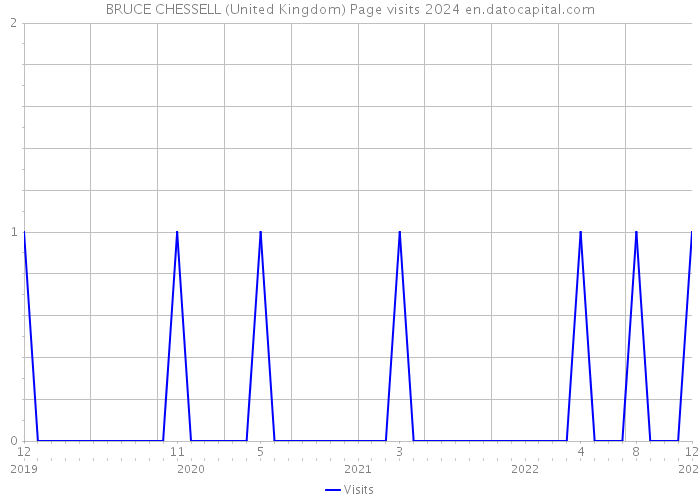 BRUCE CHESSELL (United Kingdom) Page visits 2024 