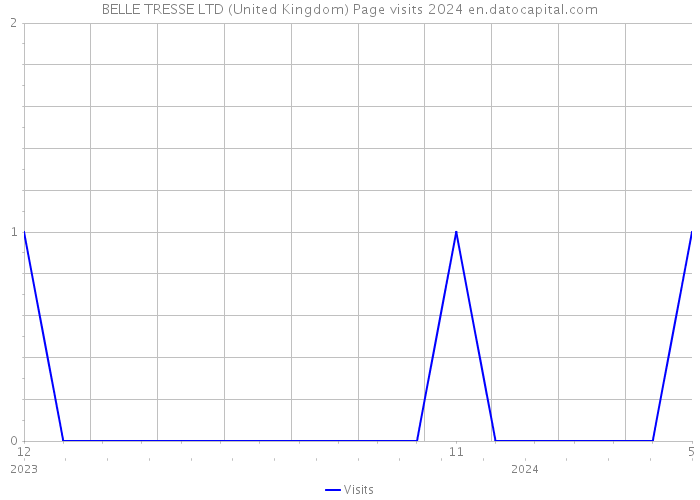 BELLE TRESSE LTD (United Kingdom) Page visits 2024 