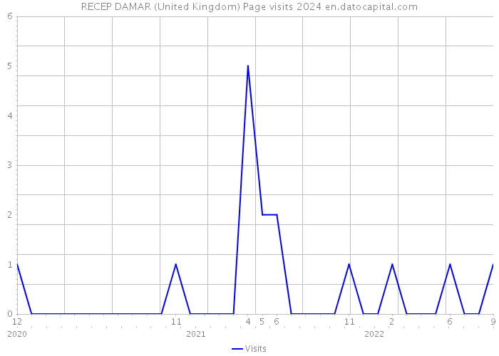 RECEP DAMAR (United Kingdom) Page visits 2024 