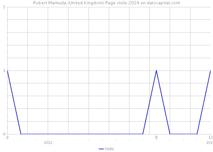 Robert Mamuda (United Kingdom) Page visits 2024 