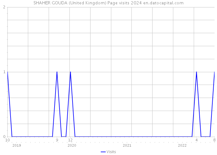 SHAHER GOUDA (United Kingdom) Page visits 2024 