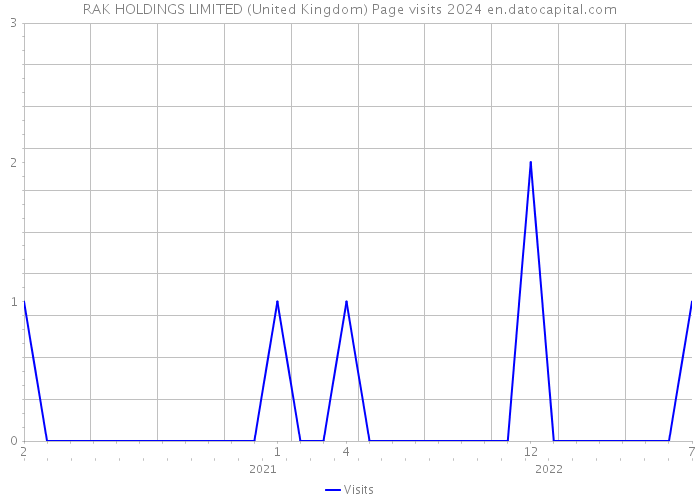 RAK HOLDINGS LIMITED (United Kingdom) Page visits 2024 