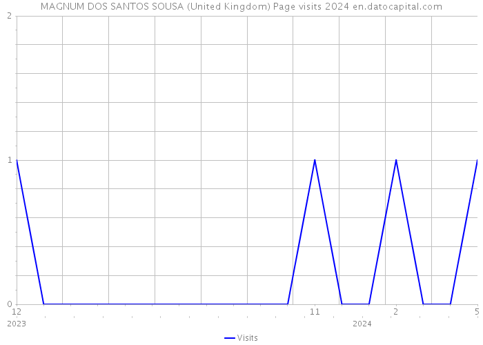 MAGNUM DOS SANTOS SOUSA (United Kingdom) Page visits 2024 