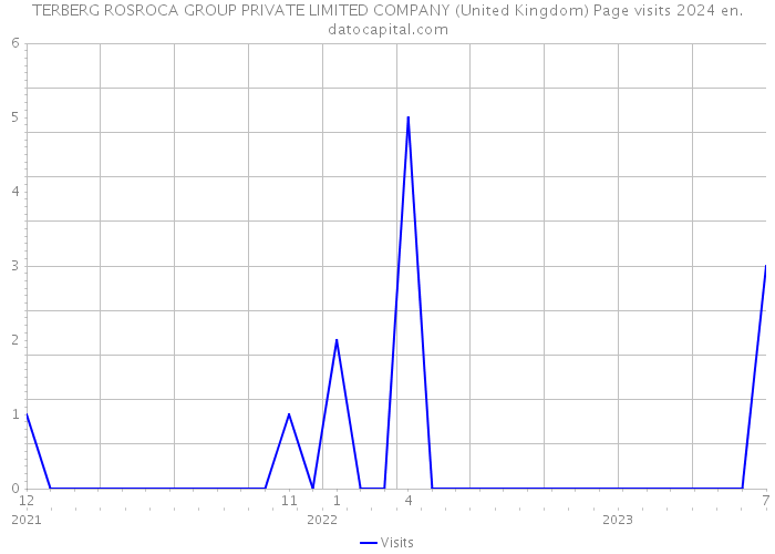 TERBERG ROSROCA GROUP PRIVATE LIMITED COMPANY (United Kingdom) Page visits 2024 