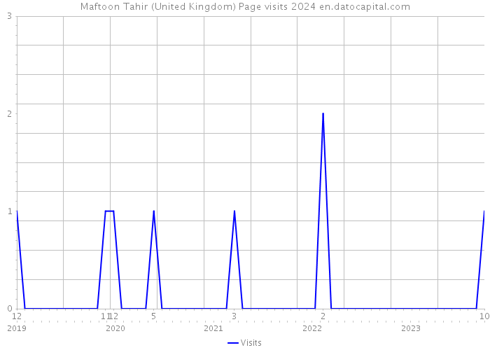 Maftoon Tahir (United Kingdom) Page visits 2024 