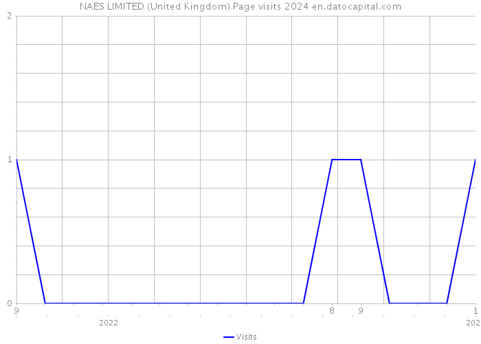NAES LIMITED (United Kingdom) Page visits 2024 
