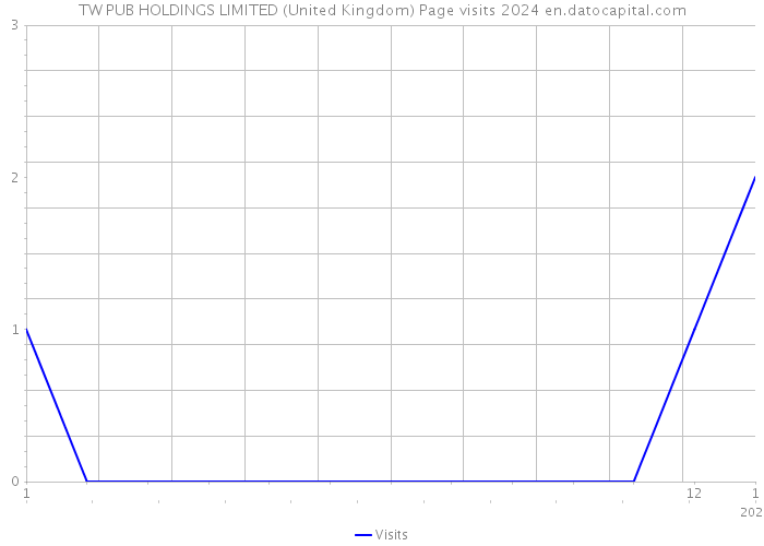 TW PUB HOLDINGS LIMITED (United Kingdom) Page visits 2024 